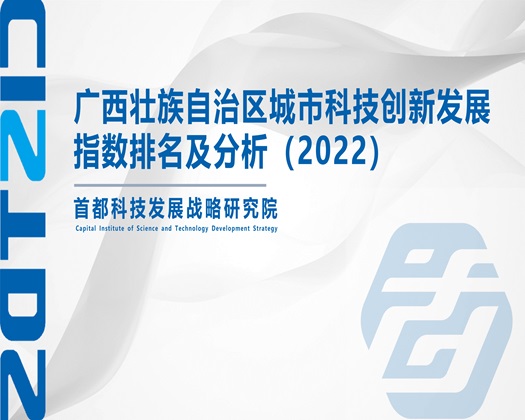 沫汀吃瓜视频【成果发布】广西壮族自治区城市科技创新发展指数排名及分析（2022）